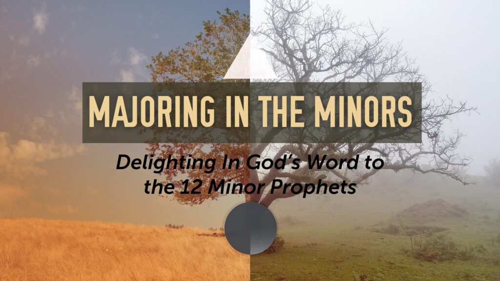 Majoring in the Minors